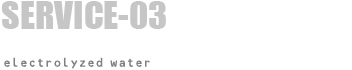 SERVICE-03